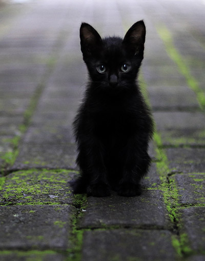 서비스 대표 이미지